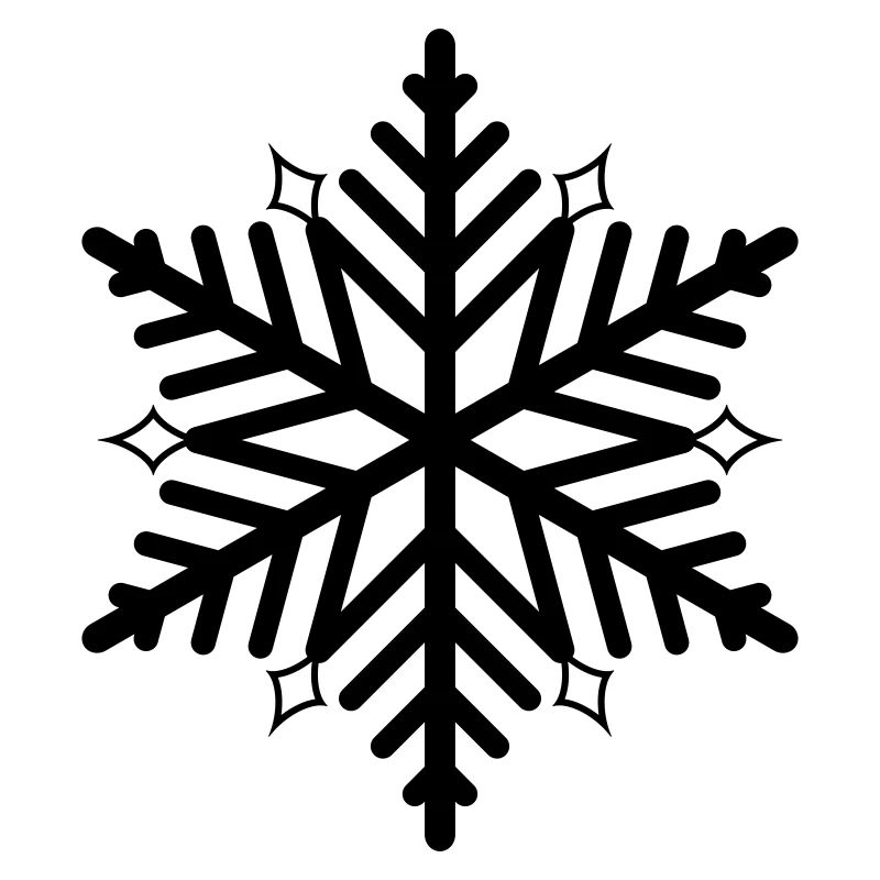 Flocon de neige flocon de neige