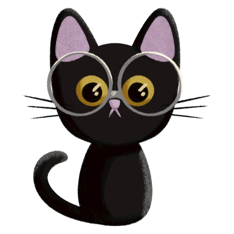 Black cat
