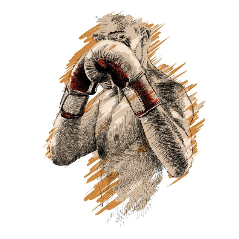 Boxer