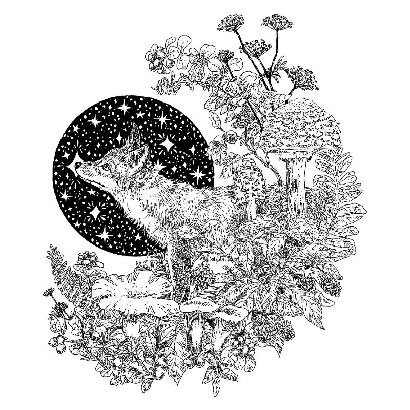 FOX & NIGHT SKY 
