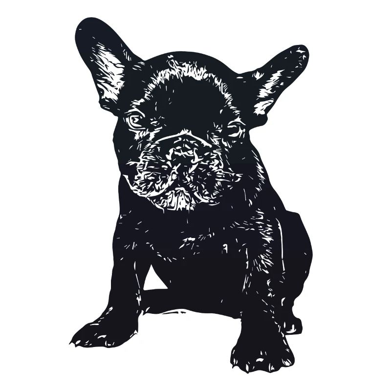 Schnuffelblick Bulldogge