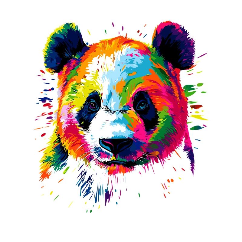 Panda Ours Pandas Géants Panda Géant Mignon Panda Ours Panda