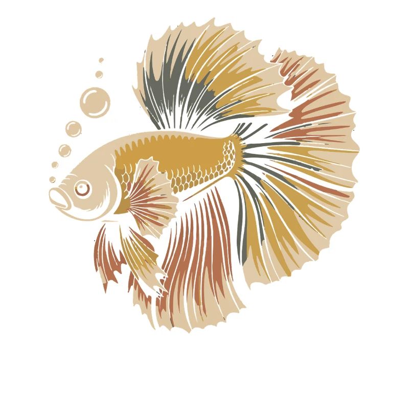 Betta Couleur Explosion Poisson