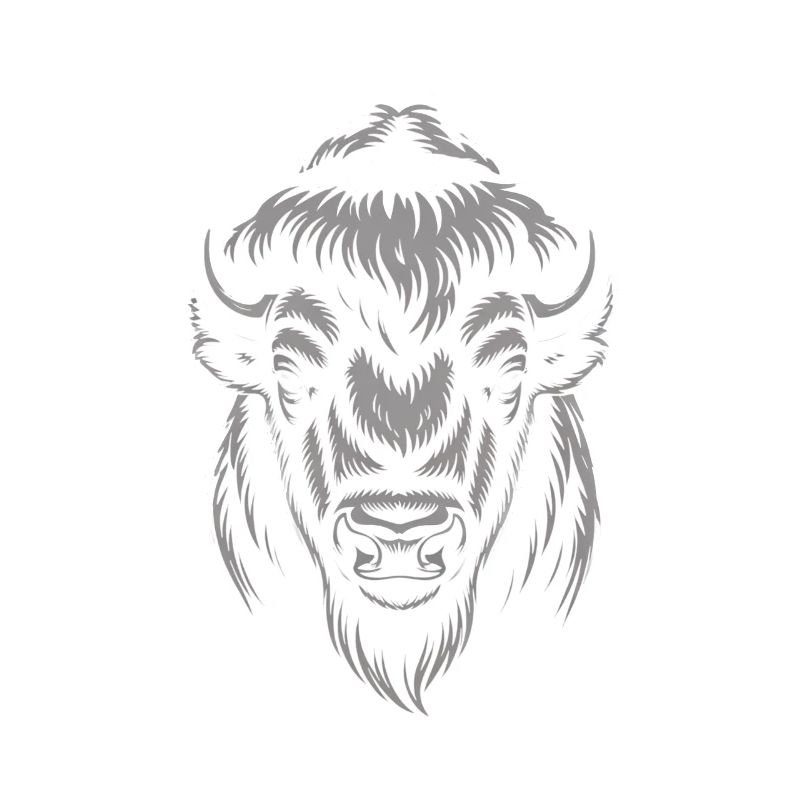 Grauer Bison Kopf