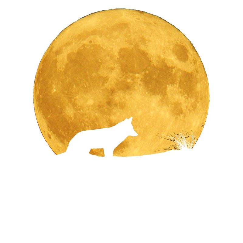 Loup silhouette et lune dorée