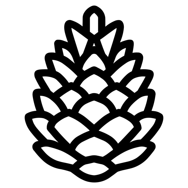 Pomme de Pin