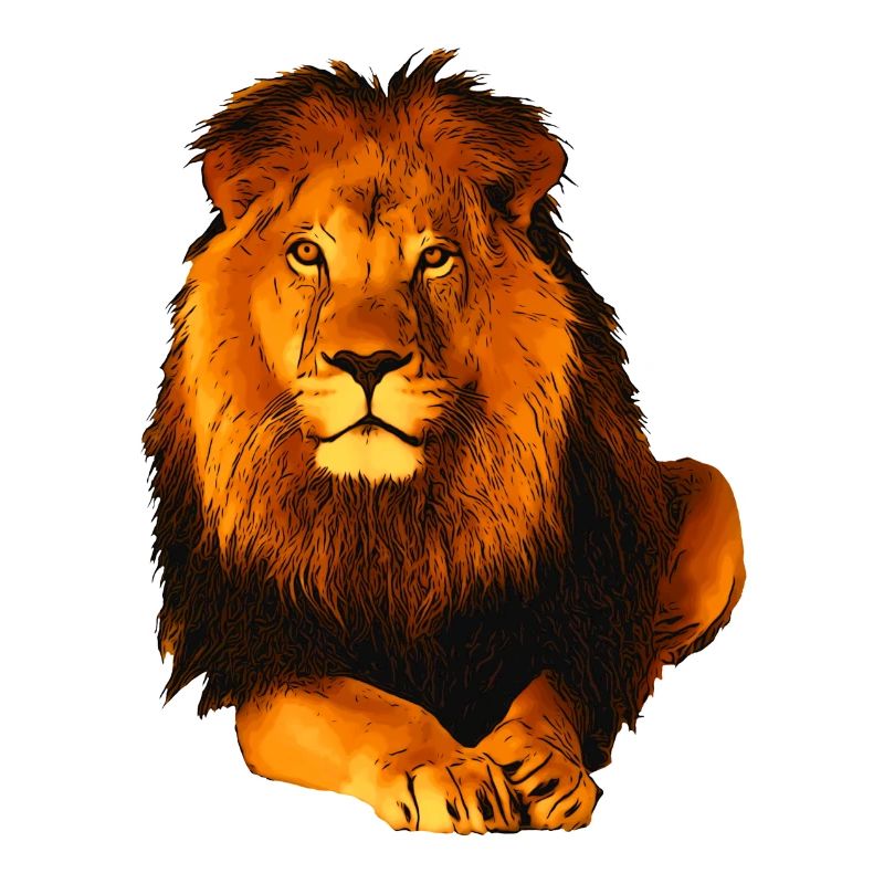lion