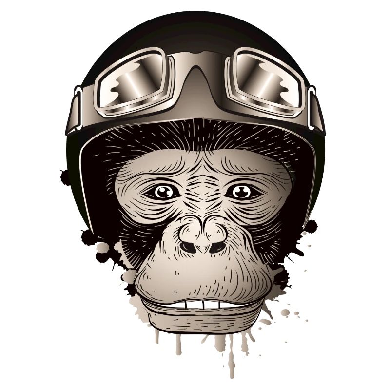 Chimpanzee with retro motorcycle helmet and goggles