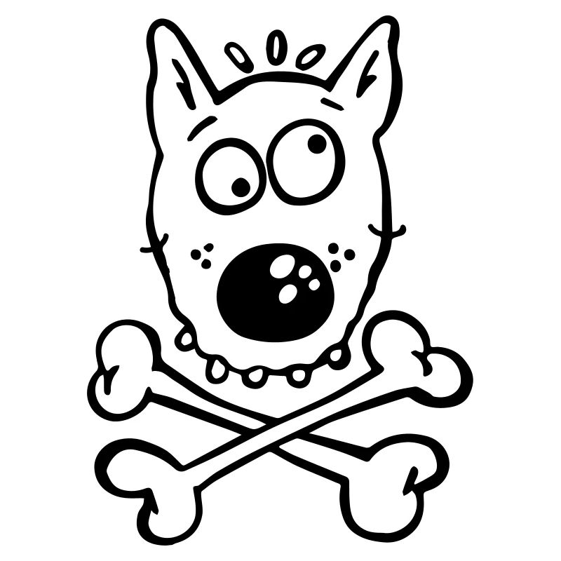 Pirate Dog