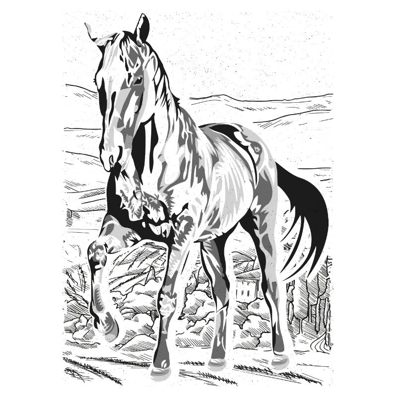 Équitation - cavalier - école d'équitation - beau cheval