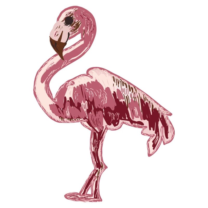 Flamant rose