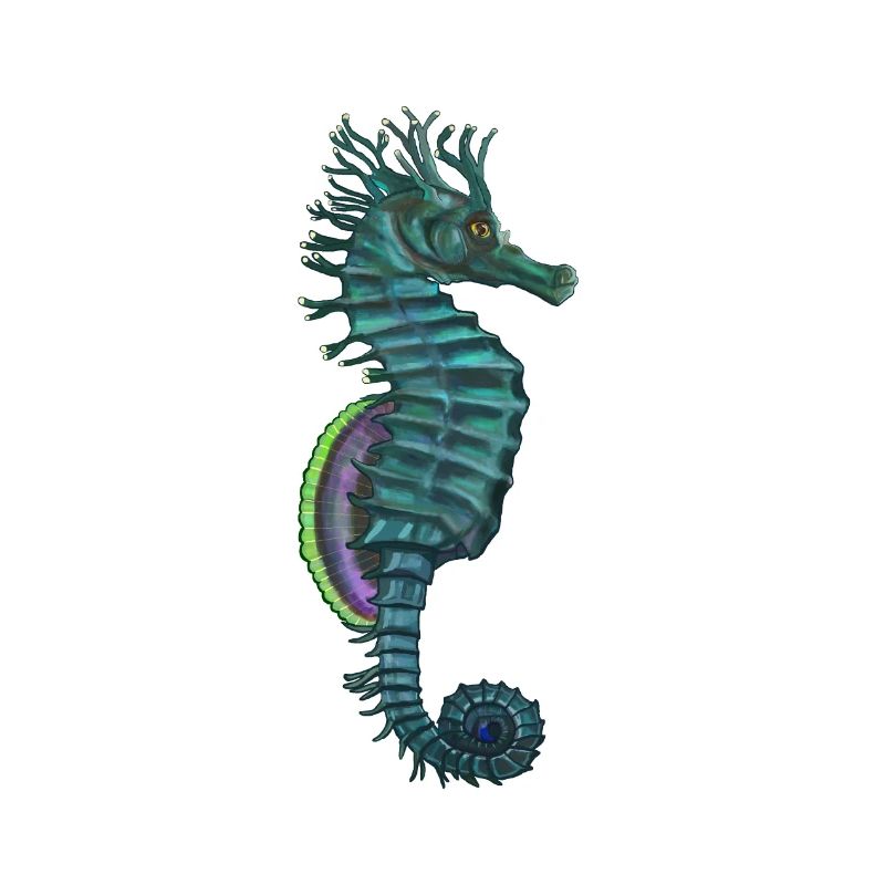 hippocampe