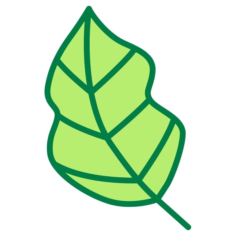 feuille