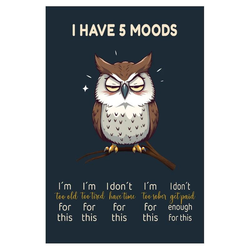 Grumpy Owl - J’ai 5 humeurs Design drôle