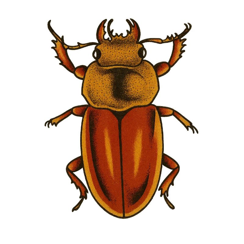 Crimson Bug Art Print