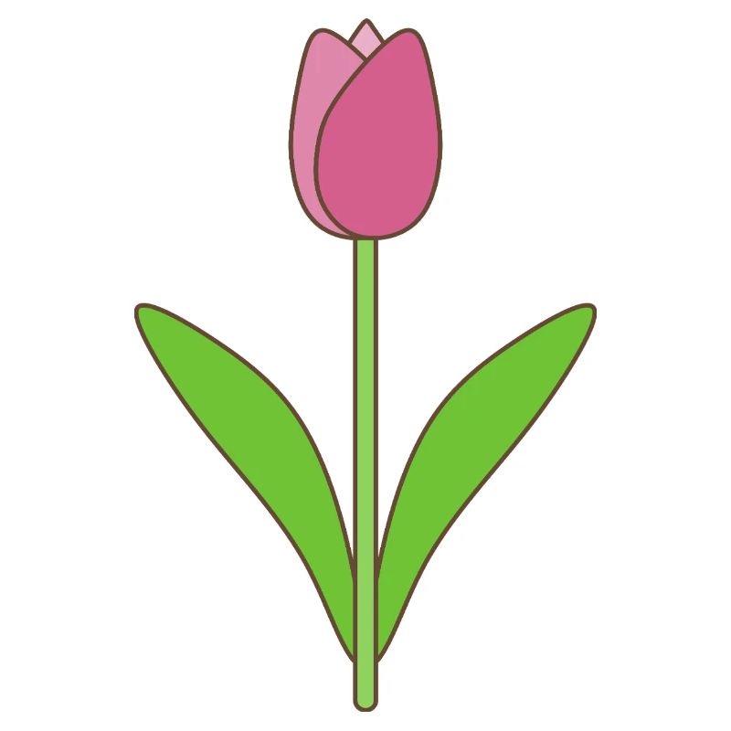 Tulip Bloom Pink