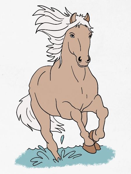 Chevaux de cheval