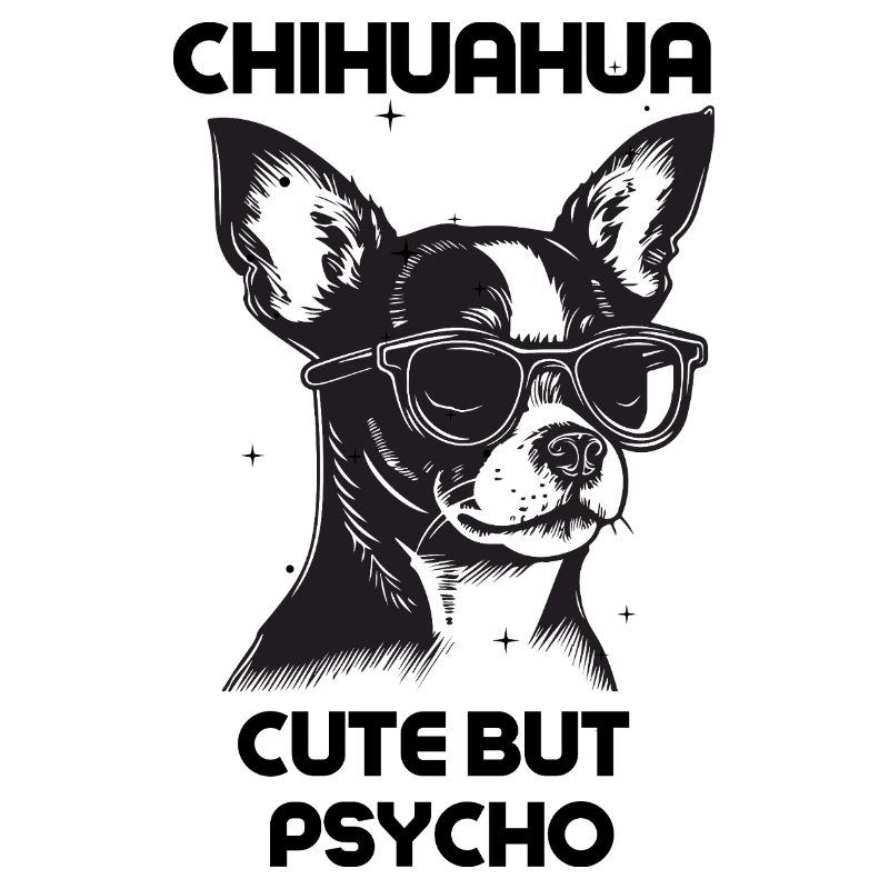Chihuahua Niedlich, aber Psycho