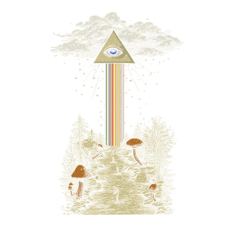Rayon arc-en-ciel mystique dans la forêt de champignons