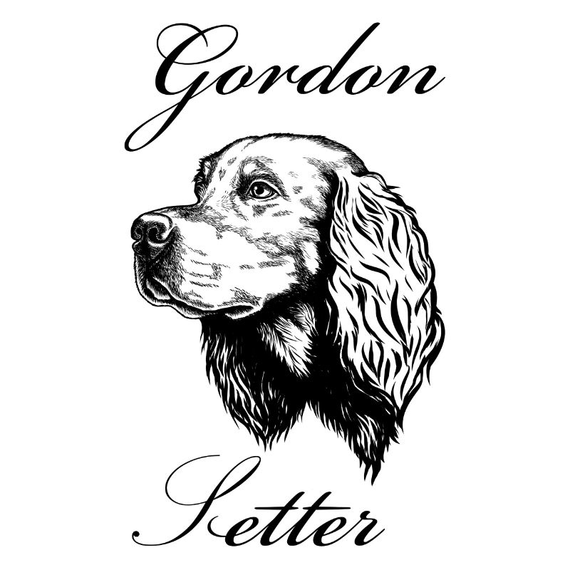 Gordon Setter Portrait