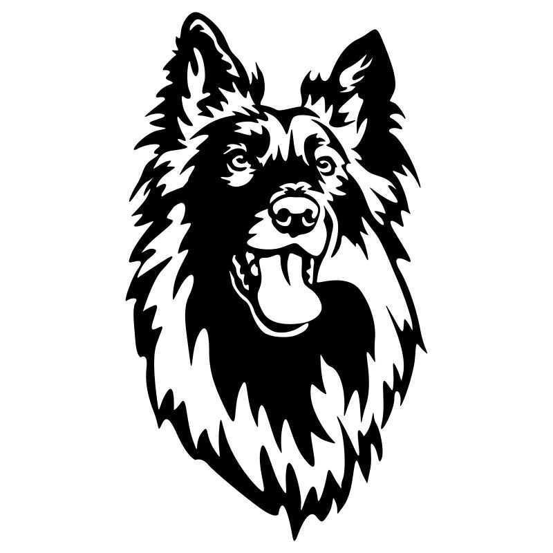 Tête de Groenendael