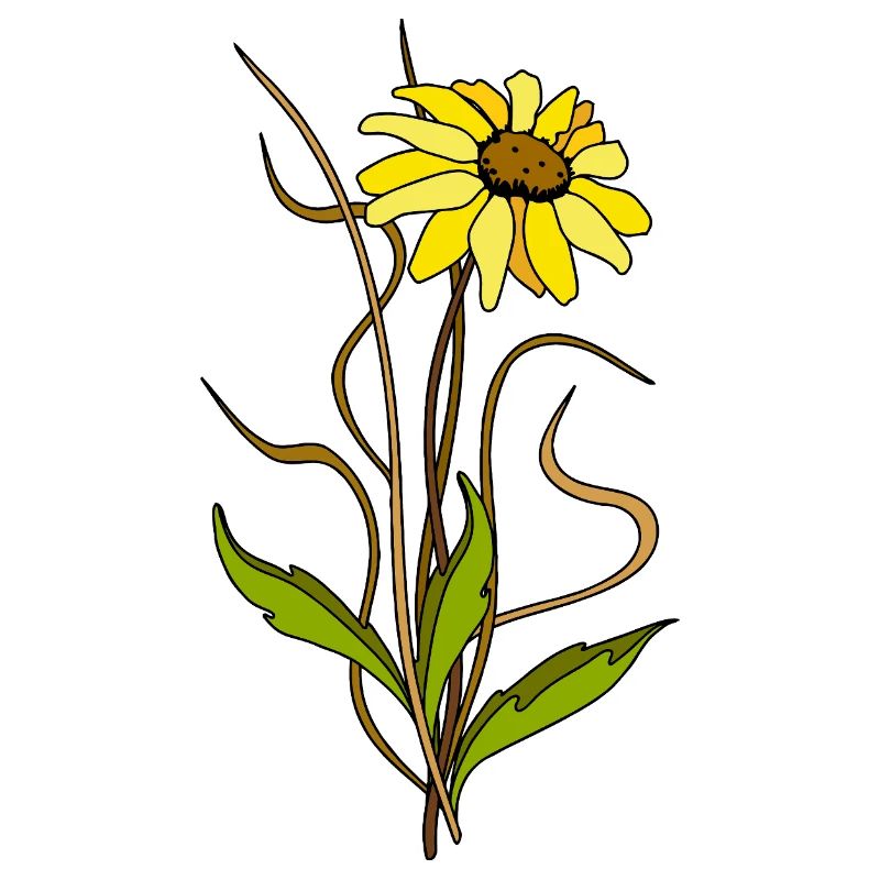 Fleur