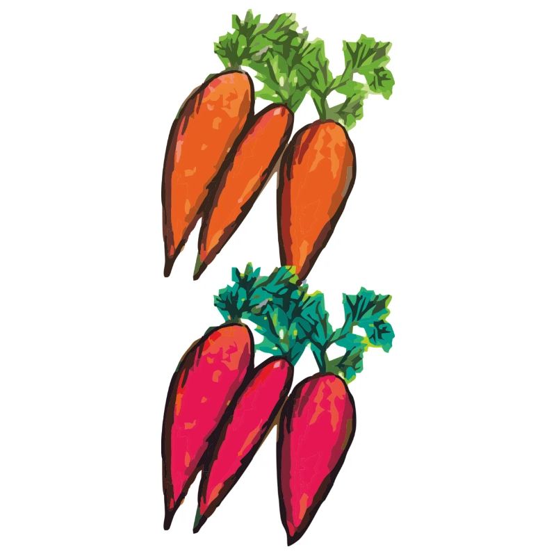 Carrot varieties
