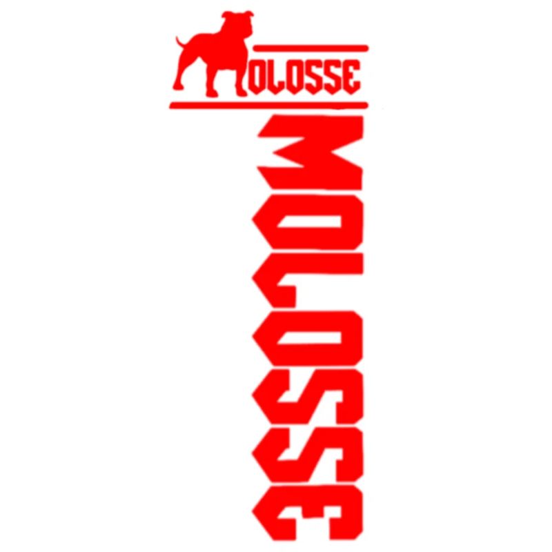 Staff Rouge en Silhouette Verticale
