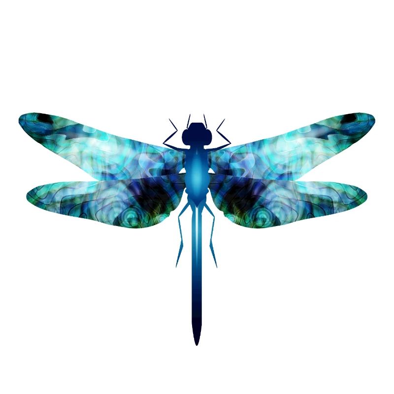 Libellule irisée dans les tons bleu-vert