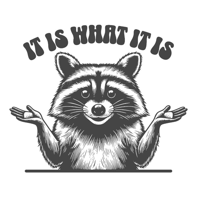 Raccoon - It is what it is