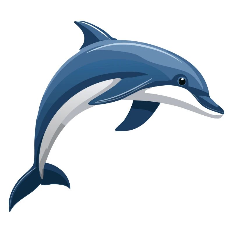 Dolphin jumping blue and white