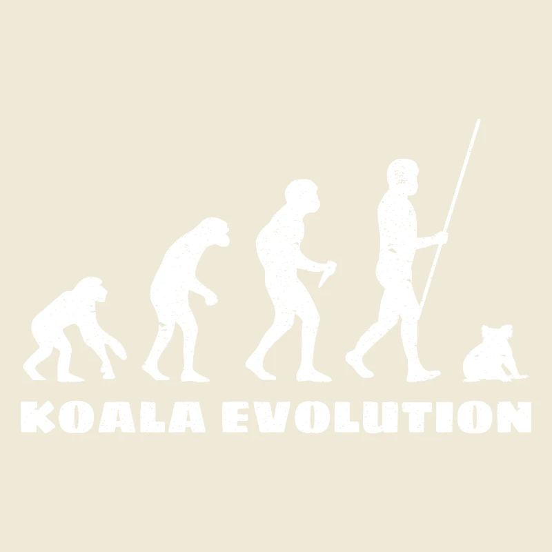 Évolution du koala