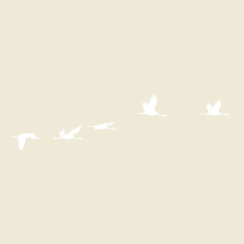 Migratory birds white crane