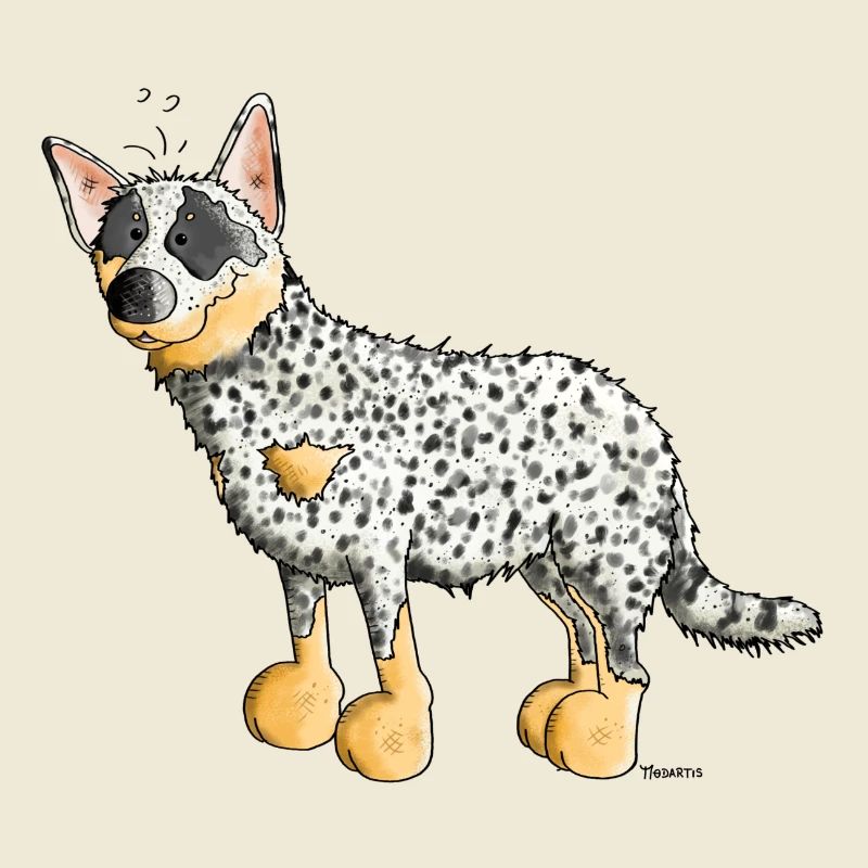 Drôle Bouvier Australien - Australian Cattle Dog