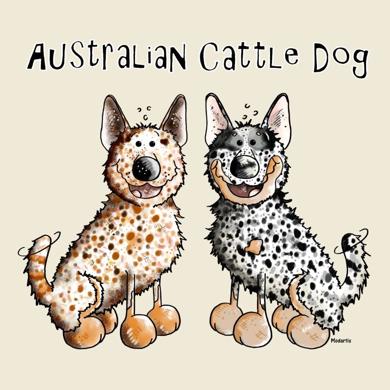 Deux Bouvier Australien - Australian Cattle Dog