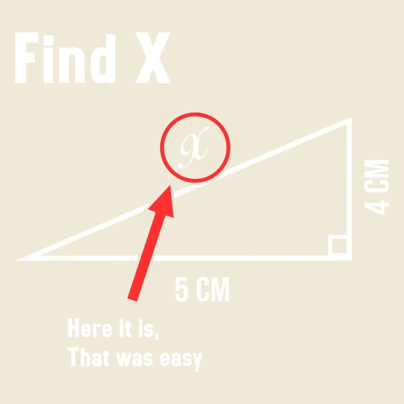 Find X Math Lover Mathematician Math Teacher