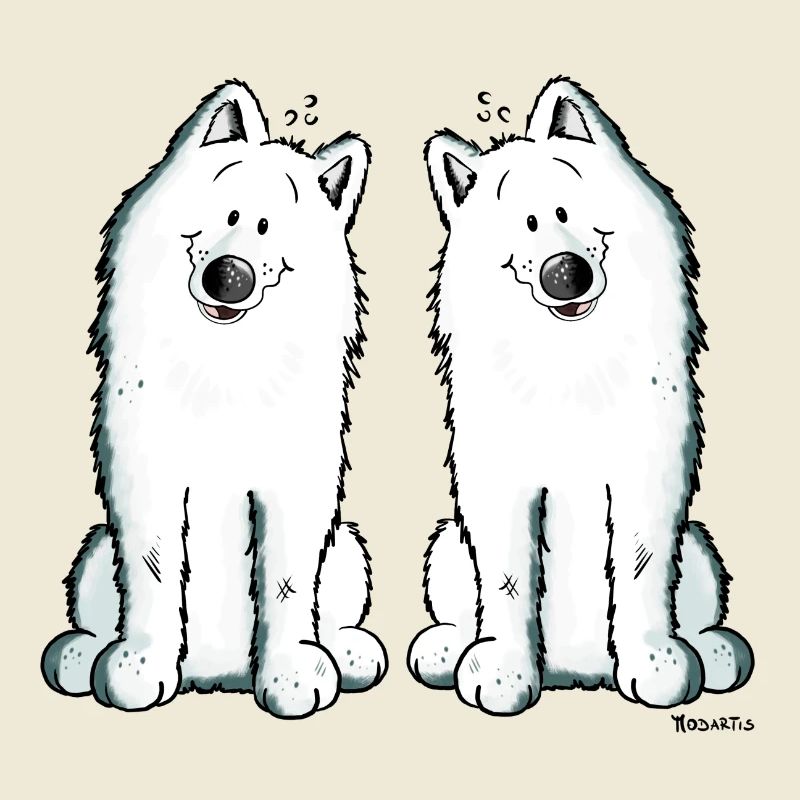 Samoyed Team - Samoyède