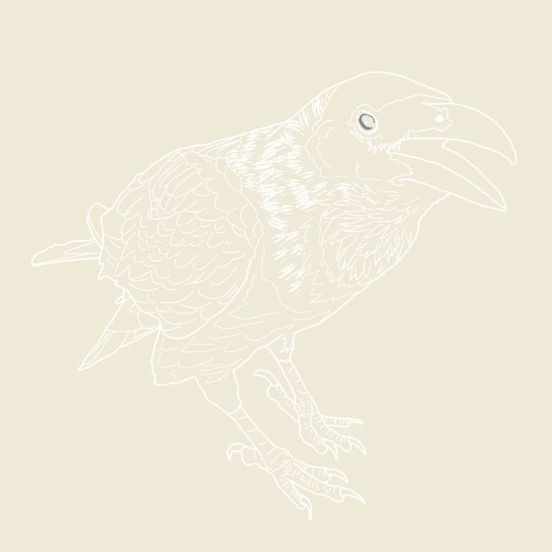 Crow lineart