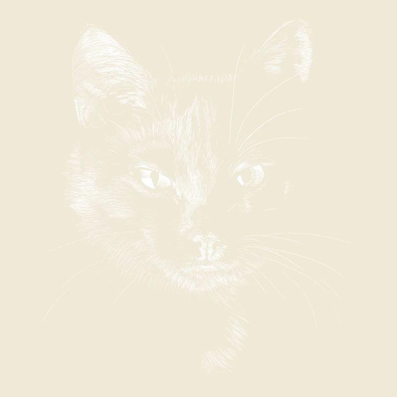 Chat noir