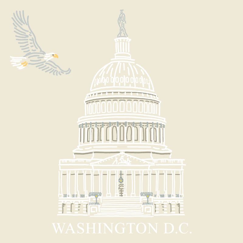 Washington D.C., Capitol Structure, Bald Eagle