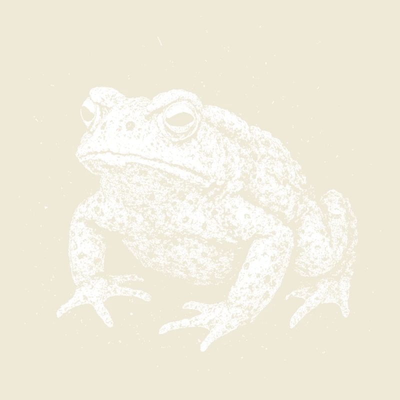 Toad