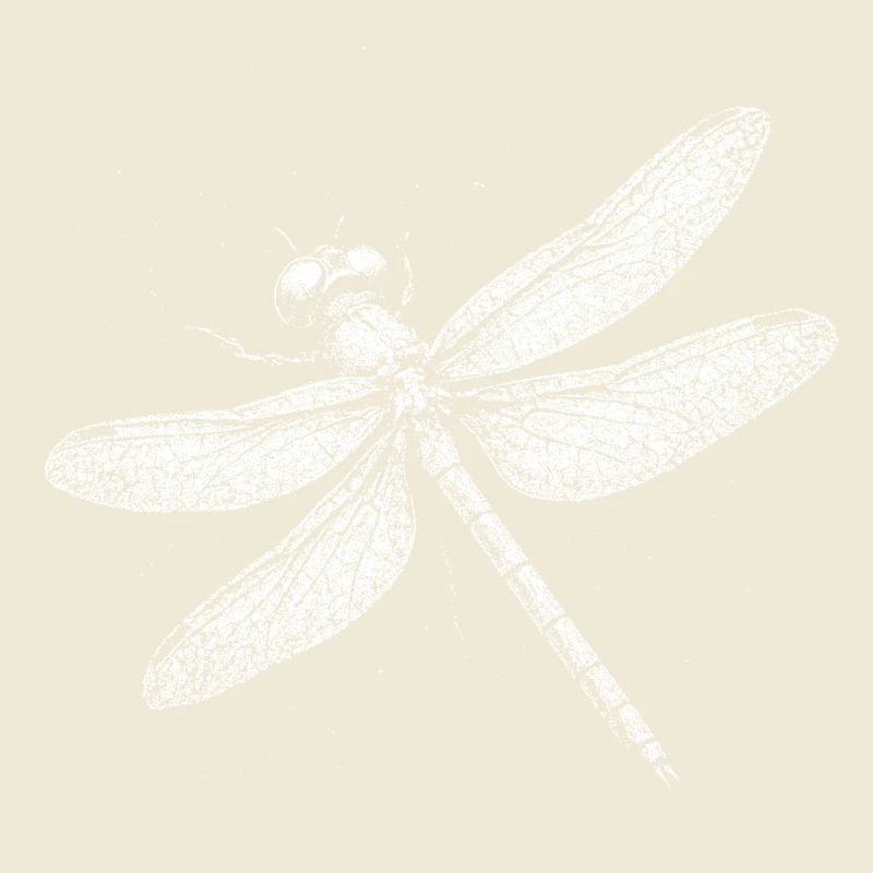Libellule