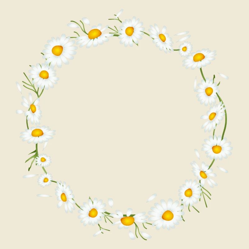bright chamomile wreath from chamomile flowers