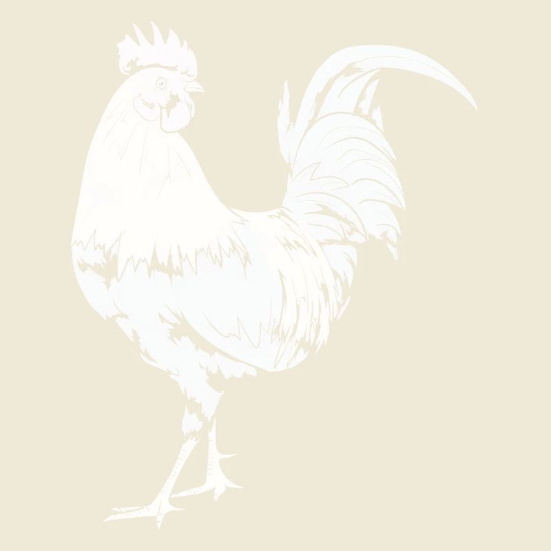 Rooster Chicken Rooster
