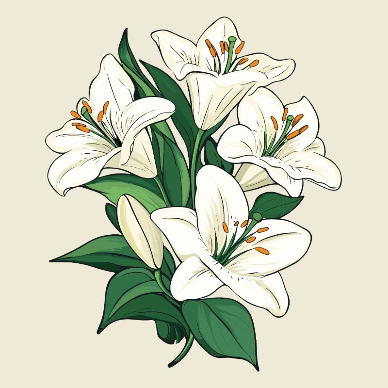 Graphique d’illustration blanc Lys