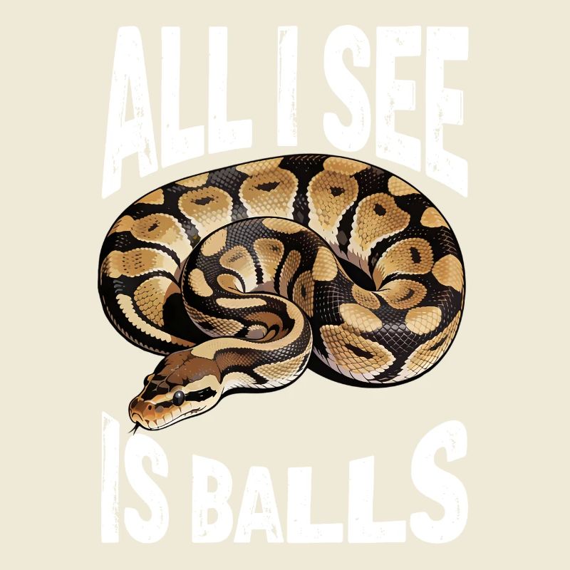 Königspython Schlangen Liebhaber Terrarium Python