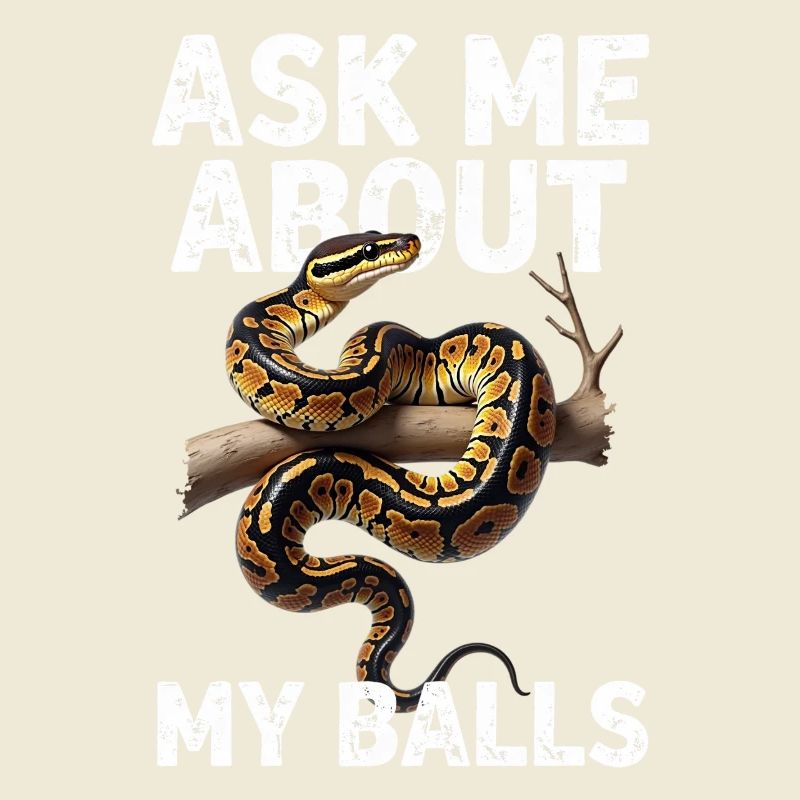 Python roi Serpents Amateurs de terrarium Python