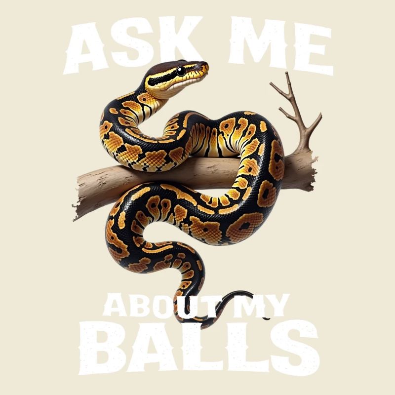 Python roi Serpents Amateurs de terrarium Python