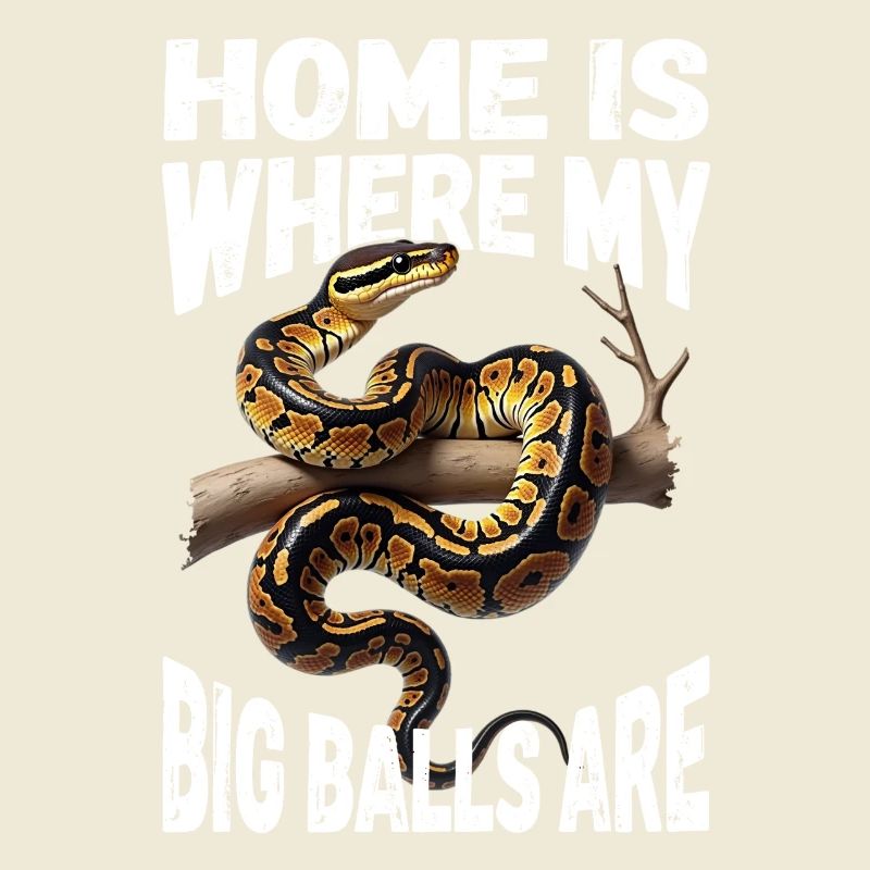 Python roi Serpents Amateurs de terrarium Python