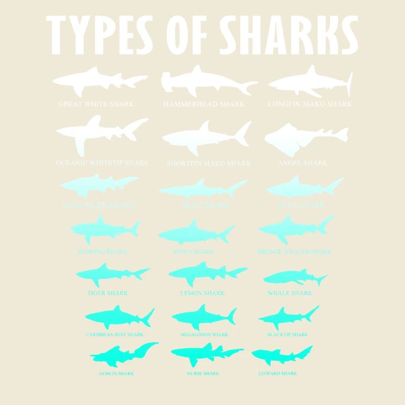 Types de requins Conception des requins d’océan | Chemise de requin